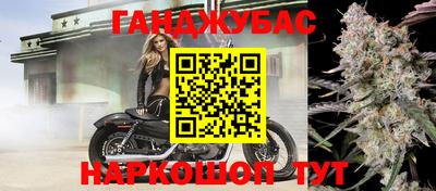 прущий лед Кингисепп