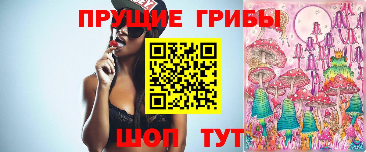 Когалым  Галлюциногенные грибы Psilocybine cubensis  Вход с VPN 