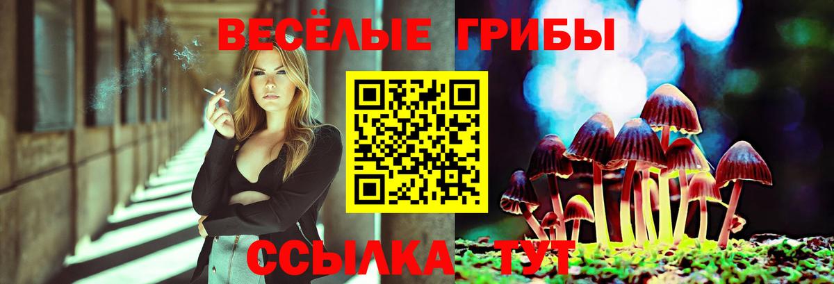 Галлюциногенные грибы прущие грибы Когалым